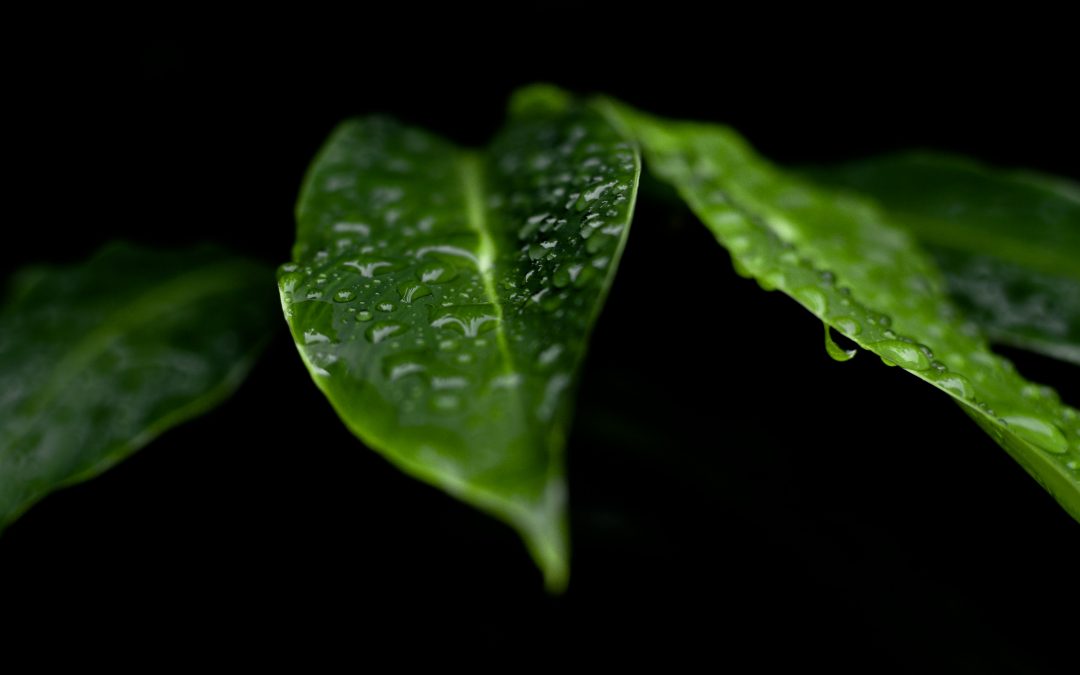 “Today” is a very powerful day!