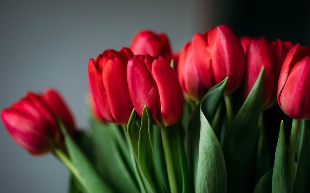 I died 3 days ago…