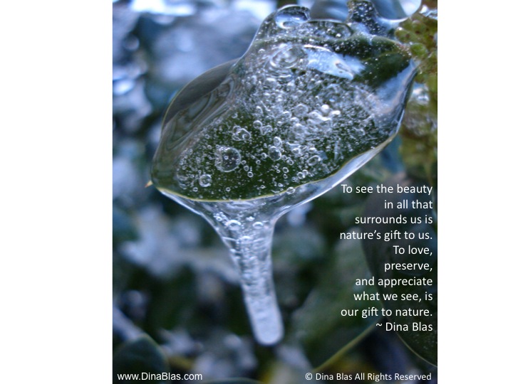 Nature’s gift is our gift.