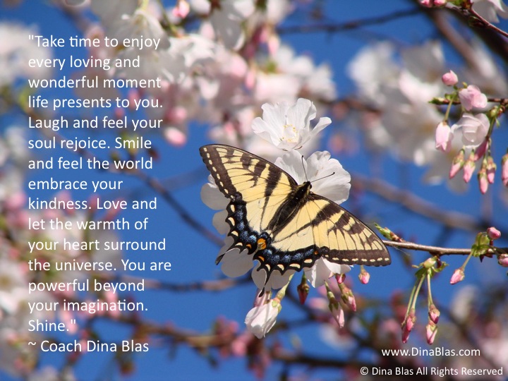 Take time to enjoy…