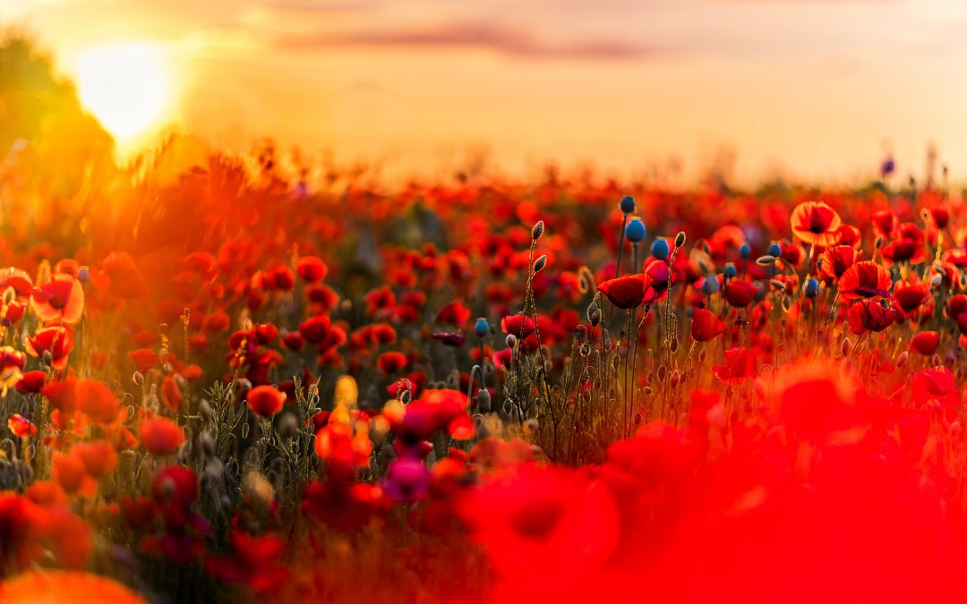 If destiny slapped you in the face, would you recognize it?