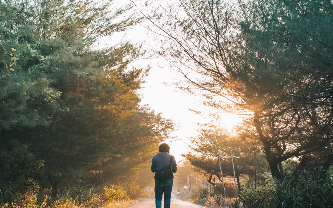 To Wander is to Wonder!